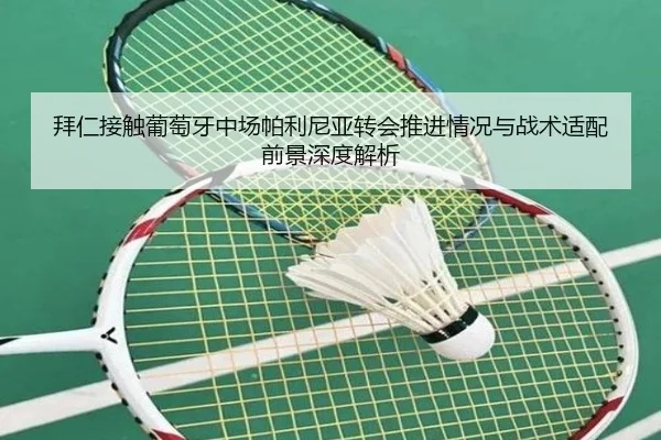 拜仁接触葡萄牙中场帕利尼亚转会推进情况与战术适配前景深度解析