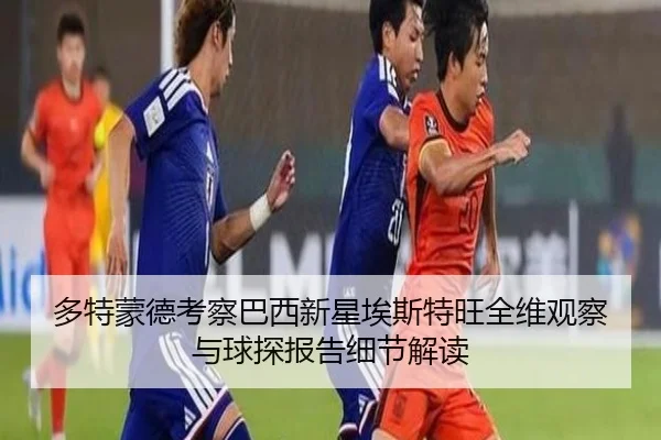 多特蒙德考察巴西新星埃斯特旺全维观察与球探报告细节解读